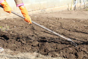 stosowanie nawozów wiosną - glebę zagrabiamy po