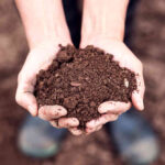 Preparaty EM są przydatne na glebach zdegradowanych i zanieczyszczonych, wymagający