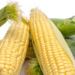 Jakie warzywa zbieramy w sierpniu - kukurydza cukrowa