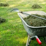 Co na kompost - skoszona trawa włóknin