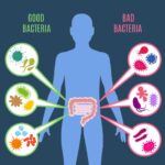 Dobre i złe bakterie w organizmie - grafika