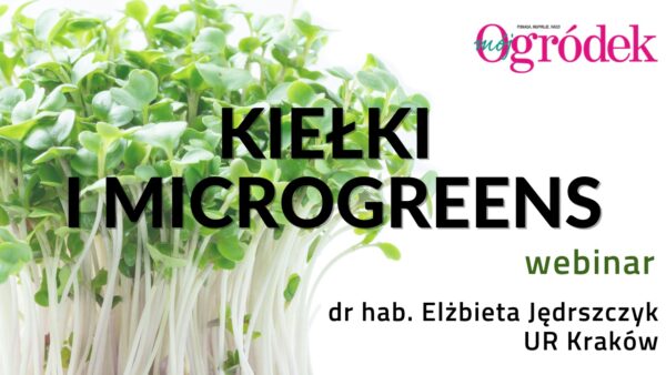 Webinar - Kiełki i microgreens - nagranie webinaru