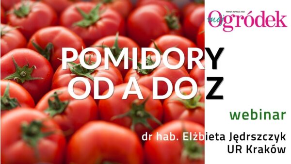 Webinar – Pomidory od A do Z - fragment nagrania