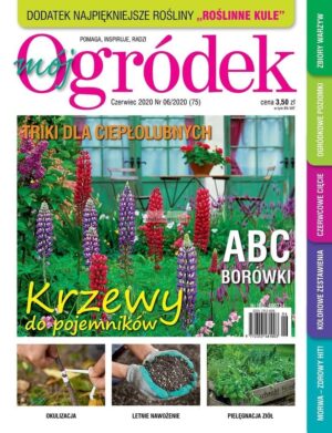 Mój Ogródek 6/2020