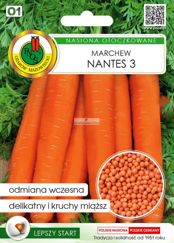 Marchew jadalna Nantes 3