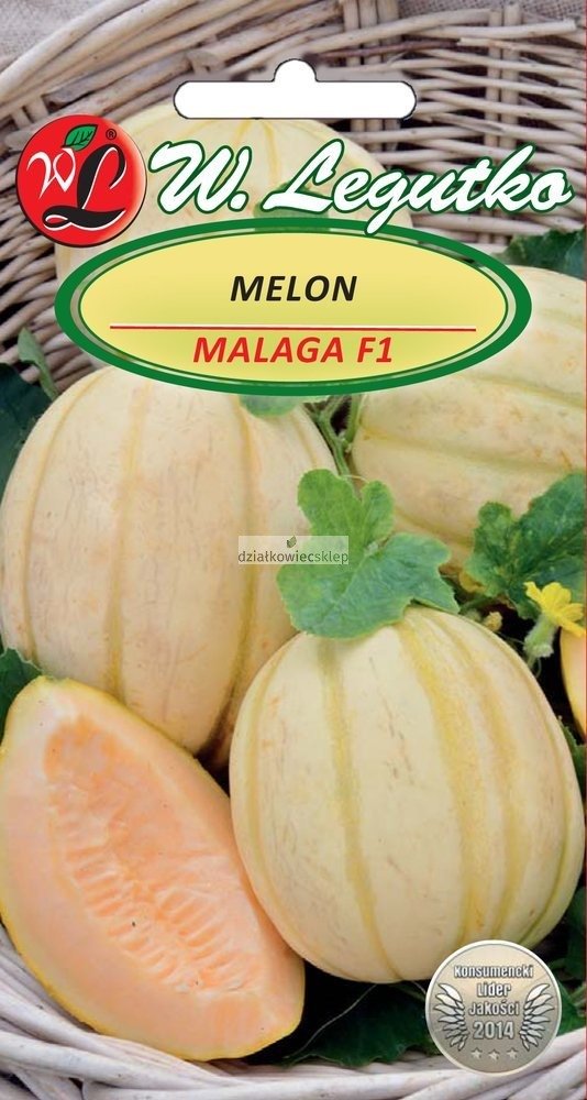 Melon Malaga