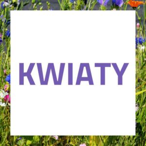 Kwiaty