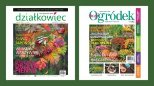 PAKIET rocznej prenumeraty Mój Ogródek i działkowiec