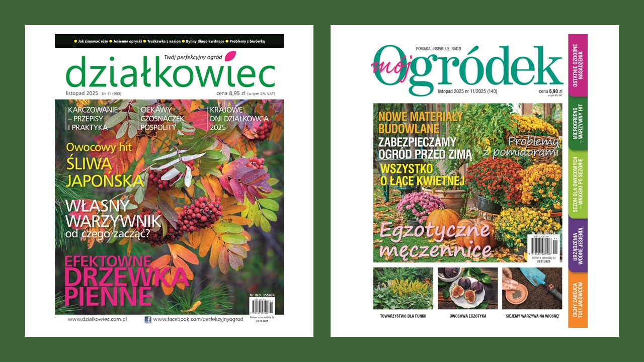 PAKIET rocznej prenumeraty Mój Ogródek i działkowiec