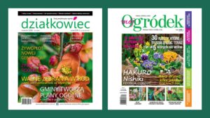 PAKIET rocznej prenumeraty Mój Ogródek i działkowiec