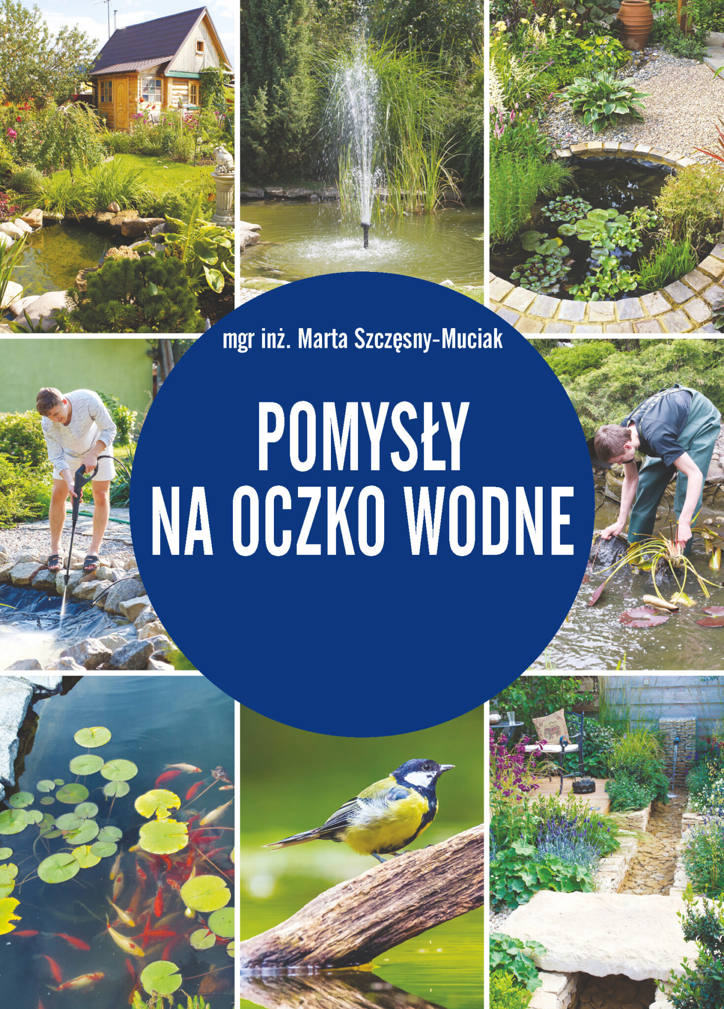 pomys-y-na-oczko-wodne-m-j-ogr-dek