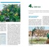 Sztuka cięcia drzew owocowych E-WYDANIE - obrazek 4