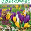 Działkowiec 3/2023