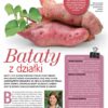 Działkowiec 3/2023 - obrazek 9