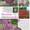 Działkowiec 4/2023 - obrazek 4