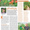 Działkowiec 6/2023 - obrazek 4