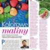 Działkowiec 8/2023 e-wydanie - obrazek 7