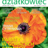 Działkowiec 6/2024