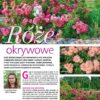 Działkowiec 6/2024 - obrazek 7
