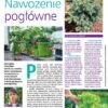 Działkowiec 6/2024 - obrazek 2
