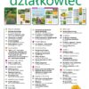 Działkowiec 8/2024 - obrazek 2