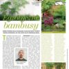 Działkowiec 8/2024 - obrazek 5