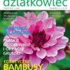 Działkowiec 8/2024