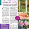 Mój Ogródek 12/2024 e-wydanie - obrazek 6