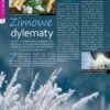 Mój Ogródek 12/2024 e-wydanie - obrazek 3