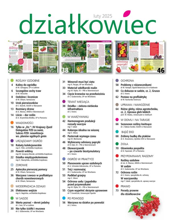 Działkowiec 2/2025 e-wydanie - obrazek 2