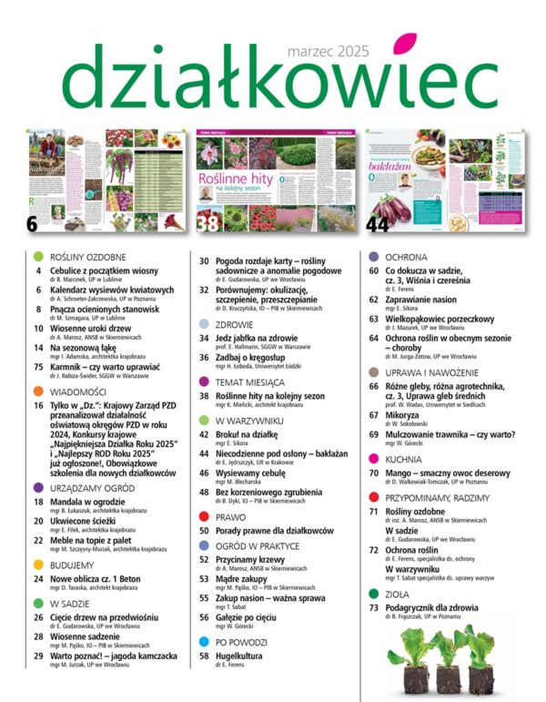 Działkowiec 3/2025 - obrazek 2