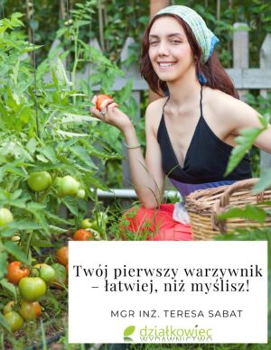 Twój pierwszy warzywnik - łatwiej, niż myślisz!