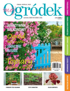 Mój Ogródek 6/2025