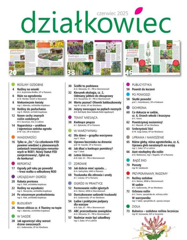 Działkowiec 6/2025 - obrazek 2