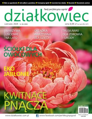 Działkowiec 6/2025