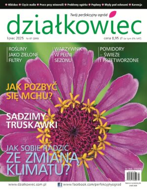 Działkowiec 7/2025