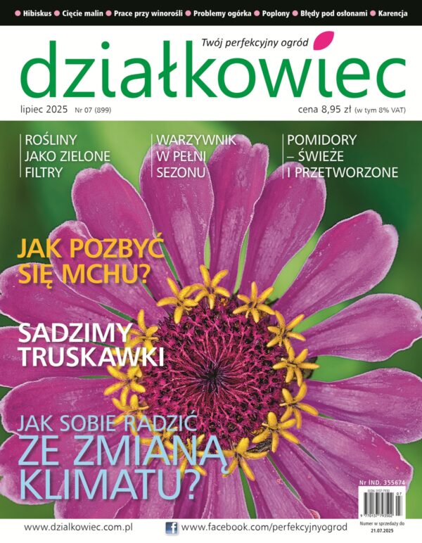 Działkowiec 7/2025