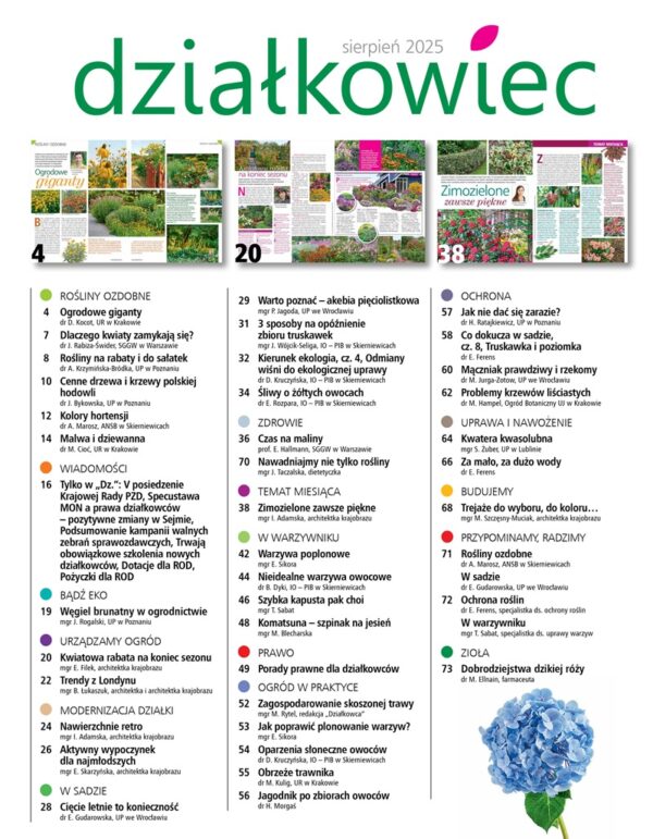 Działkowiec 8/2025 - obrazek 2