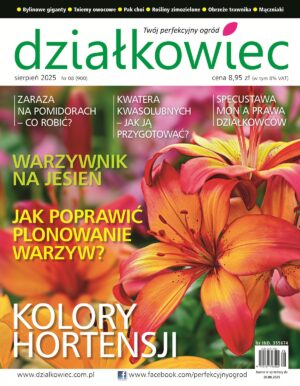 Działkowiec 8/2025