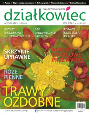 Działkowiec 9/2025