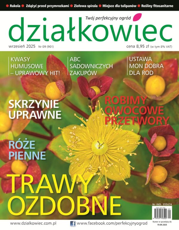Działkowiec 9/2025