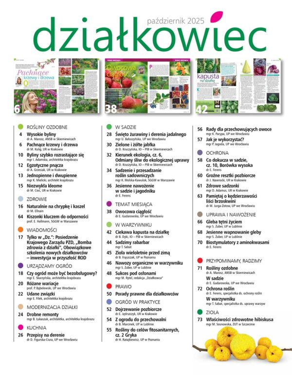 Działkowiec 10/2025 - obrazek 5