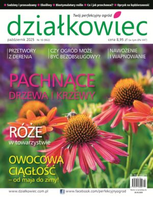 Działkowiec 10/2025