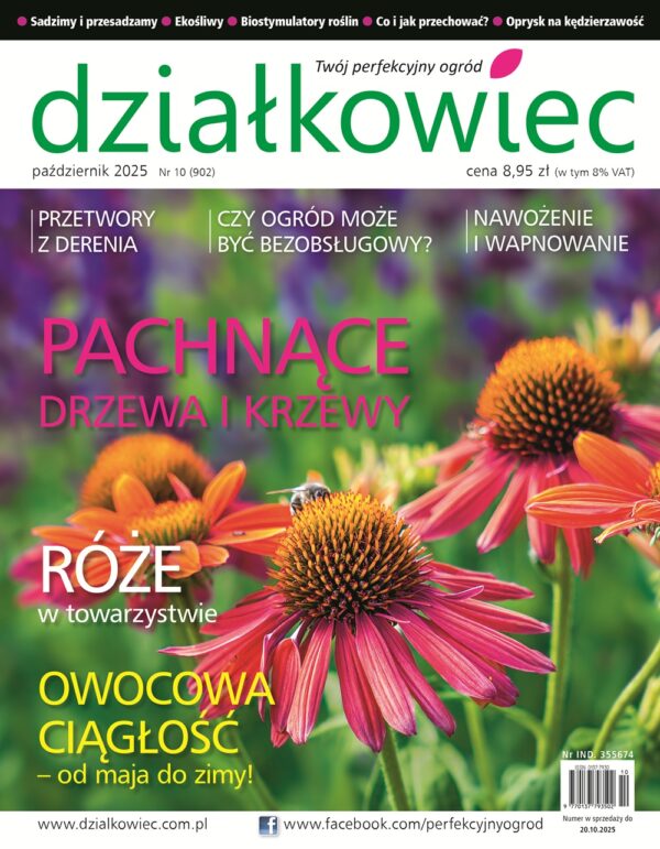 Działkowiec 10/2025