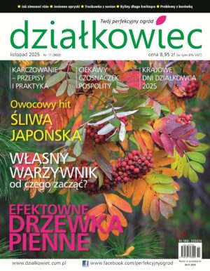 Działkowiec 11/2025 e-wydanie