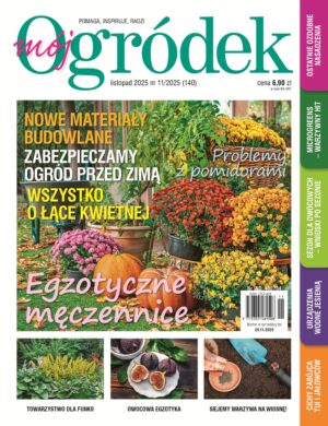 Mój Ogródek 11/2025 e-wydanie