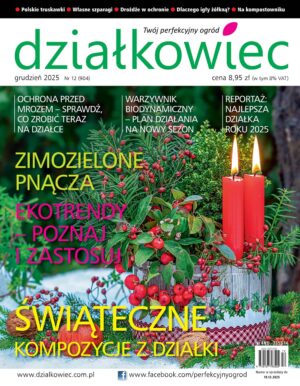 Działkowiec 12/2025