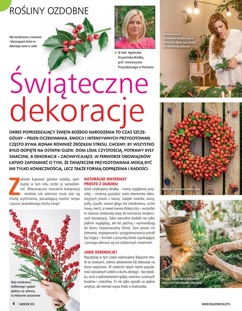 Działkowiec 12/2025 - obrazek 3