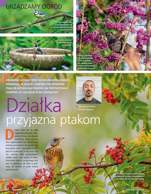 Działkowiec 12/2025 - obrazek 4