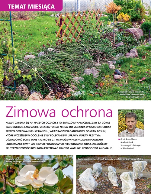 Działkowiec 12/2025 - obrazek 5